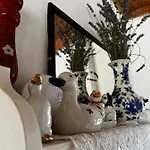 Amila Casa vacanze *