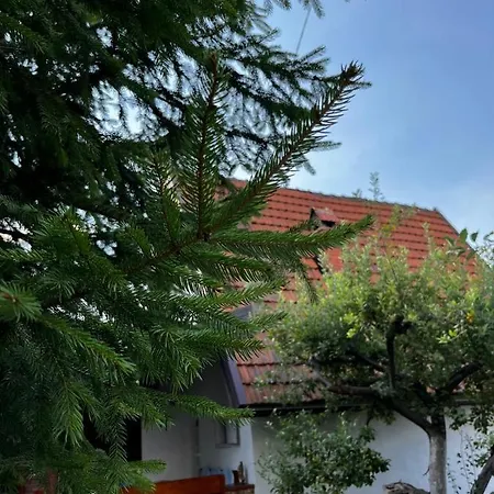 Holiday home Amila *