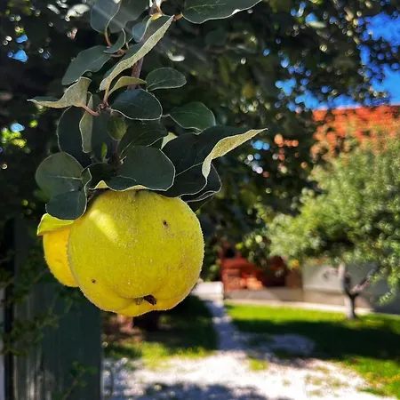 Amila Casa vacanze *