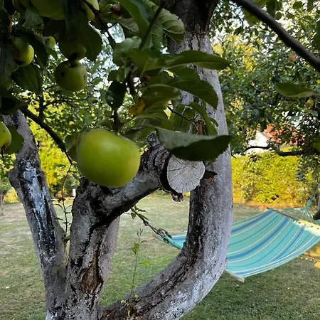 Amila Holiday home