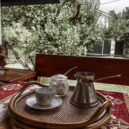 Tatil Evi Amila *