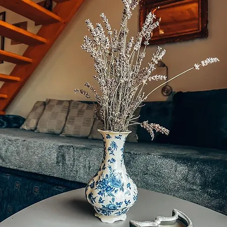 Amila Holiday home *