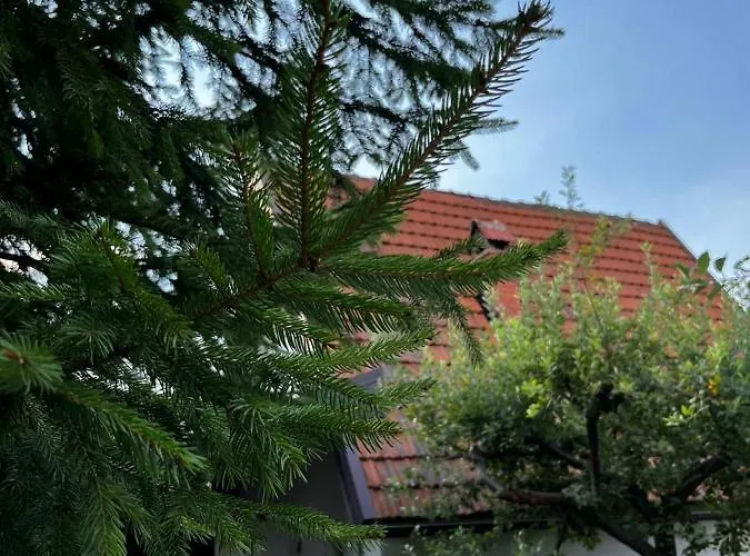 Dom wakacyjny Amila *