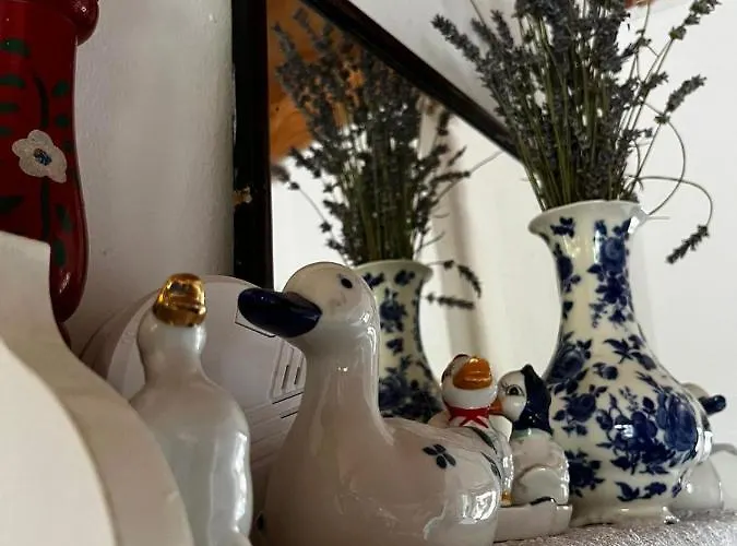 Amila Dom wakacyjny *